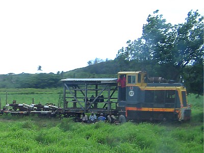 Fiji Sugar Cane Train